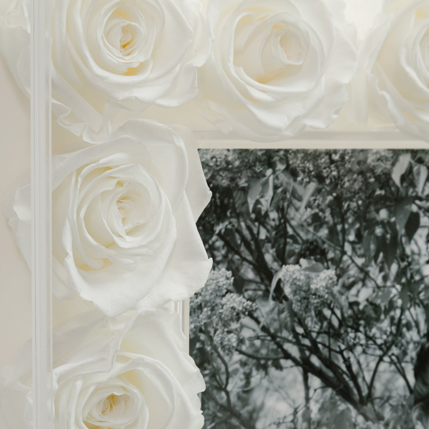 Grand Fleur Frame - Venusetflleur