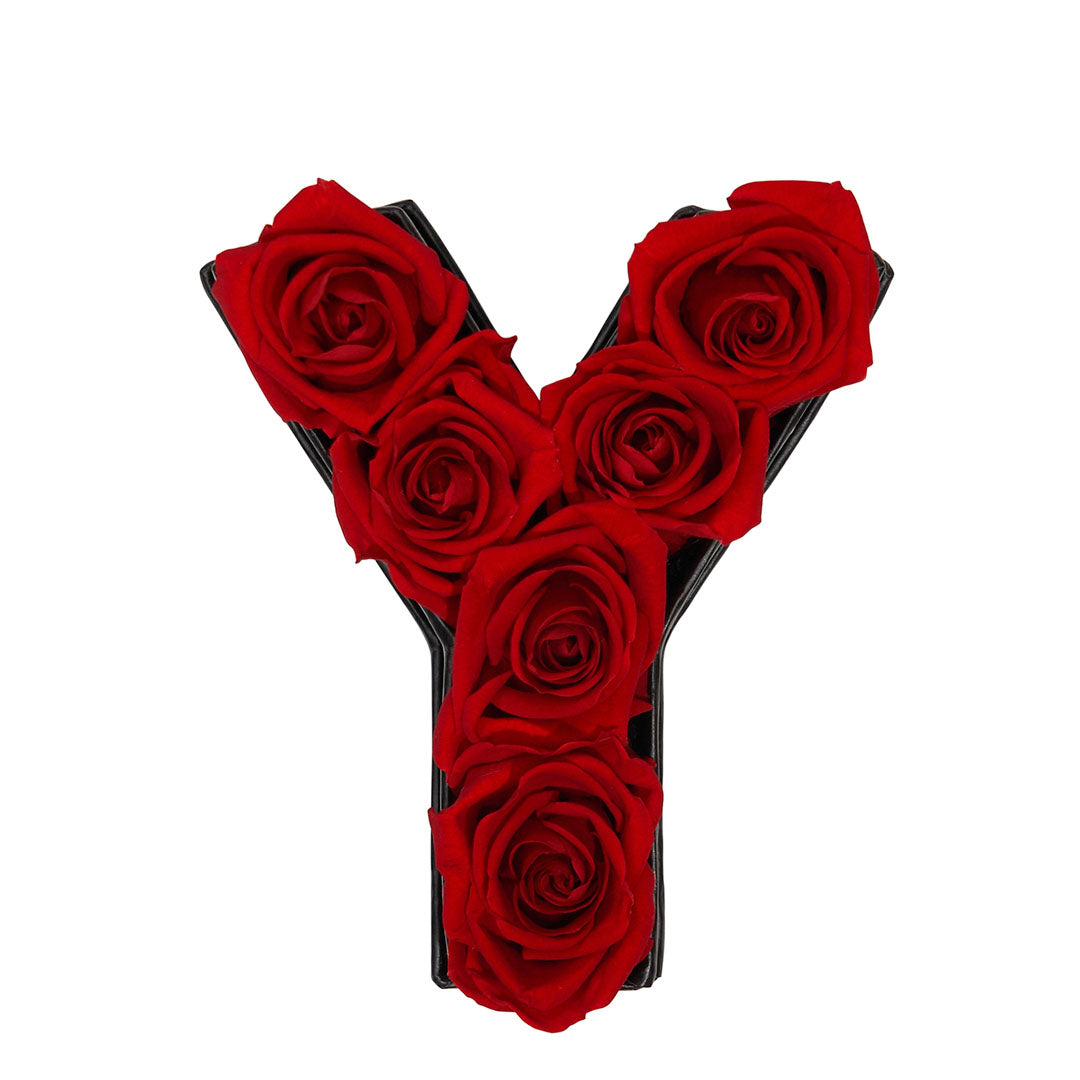 Le Mini Letter – Y - Venusetflleur