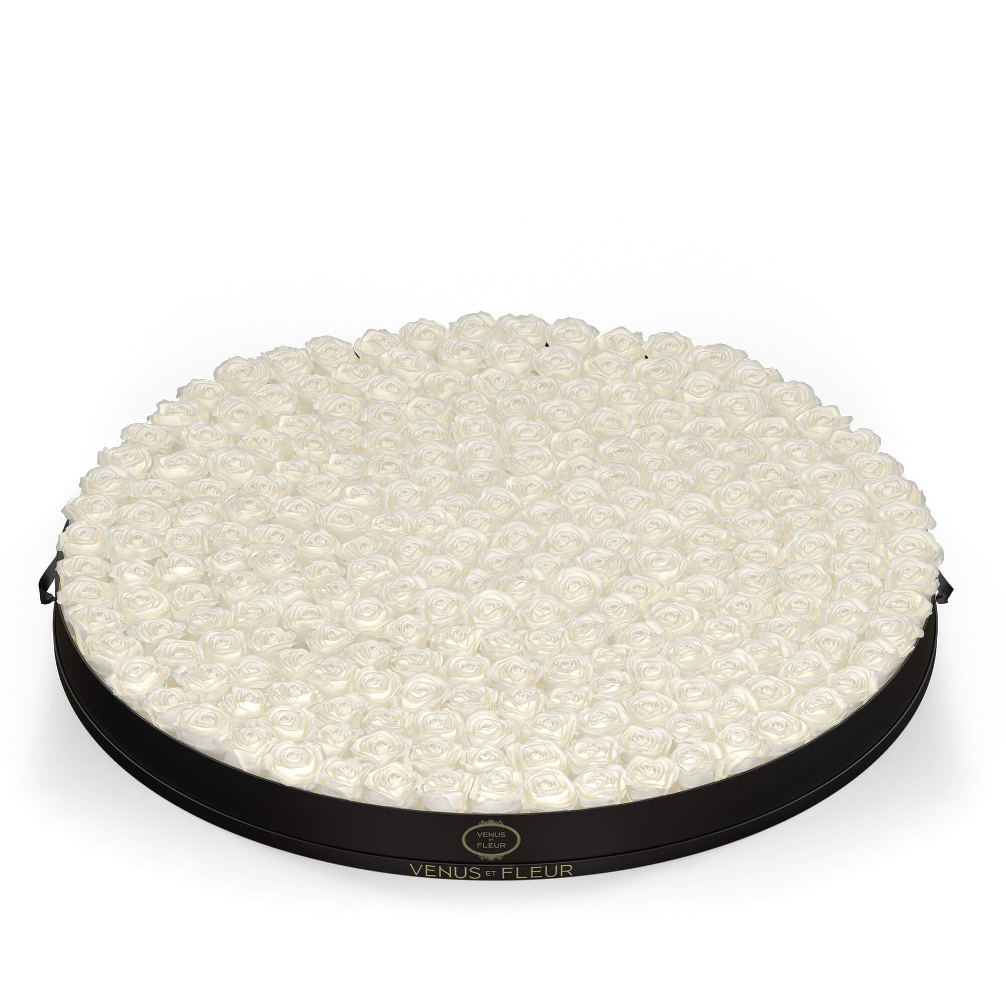 Round Grandiose - Venusetflleur