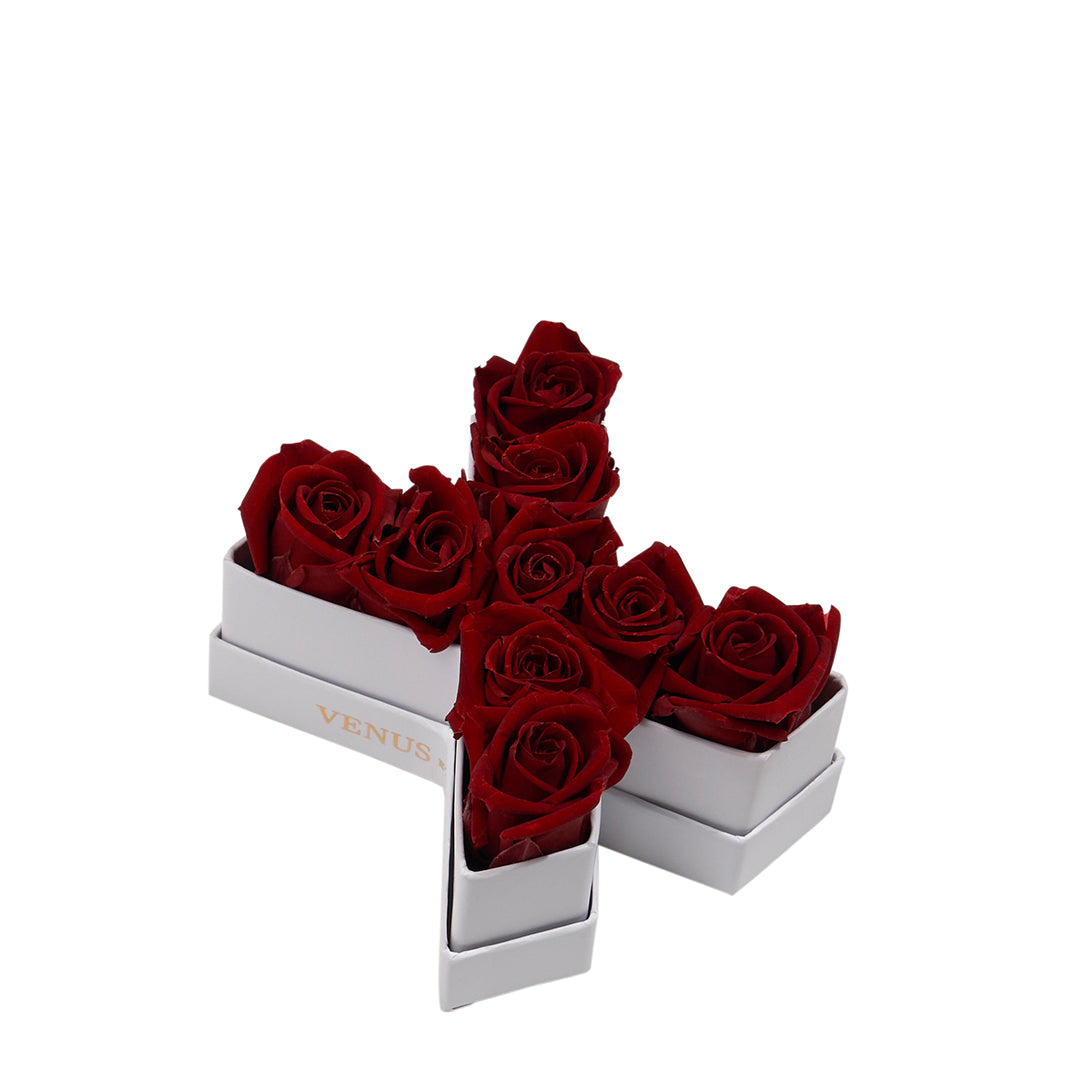 Le Mini Letter – X - Venusetflleur